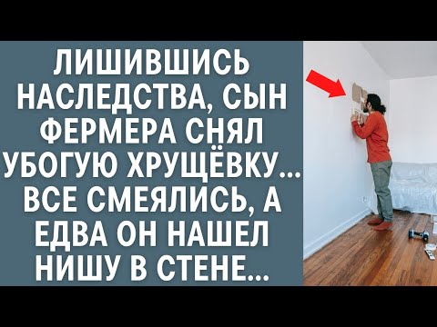 Видео: Лишившись наследства, сын фермера снял убогую «хрущёвку»… Все смеялись, а едва он нашел нишу в стене