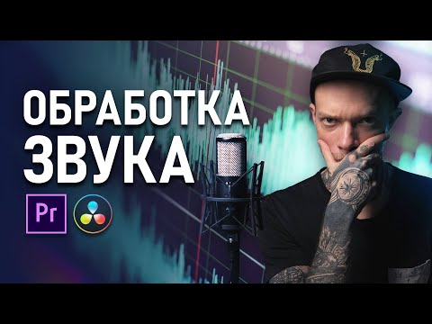 Видео: Как Сделать Идеальный ЗВУК в ВИДЕО? Обработка Голоса и Звука в Premiere Pro и Davinci Resolve