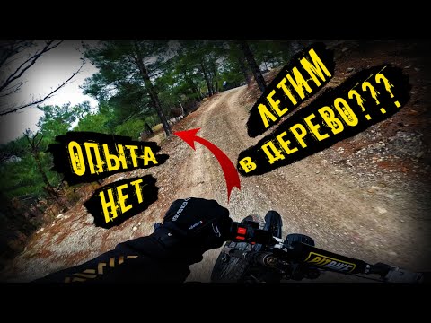 Видео: На SUR-RONе прямо в дерево #Геленджик #Горы #Природа #surron #surronebike #enduro #moto #motosport