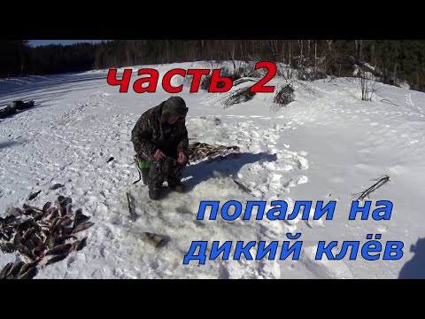 Видео: Рыбалка в апреле 2023. Часть 2. Попали на раздачу горбача.