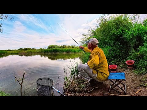 Видео: Погнался за двумя зайцами — остался без рыбы? А потом началась настоящая удочка-магия!⚡️