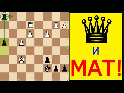 Видео: Лондонская Система: Я ПРОВЁЛ ФЕРЗЯ И ПОСТАВИЛ СРАЗУ МАТ! 🤯