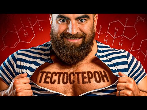 Видео: БЕЗ тестостерона ты НЕ мужчина – эти 7 фактов тебя разозлят!