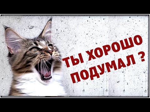 Видео: Недвижимость, ошибки выбора. Легко и с юмором! 2 часть.