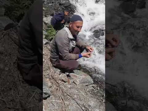 Видео: Дарай гориф