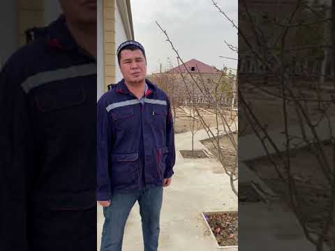 Видео: Огород.Осиру купиасы.