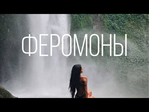 Видео: САБЛИМИНАЛ «Феромоны»/SABLIMINAL "Pheromones"