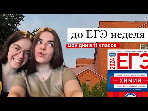 Видео: ДО ЕГЭ НЕДЕЛЯ  – мои реалистичные дни в 11 классе, долги по химии и день рождения сестры, влог