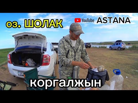Видео: Летняя рыбалка.Спиннинг на реке НУРА. Озеро Шолак. River fishing Kazakhstan.