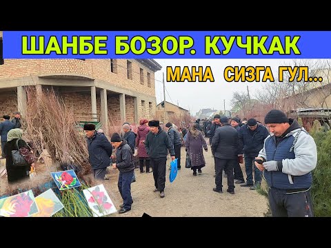 Видео: КУЧКАК ШАНБЕ БОЗОРИ // ГУЛ КУЧАТ  НАРХЛАРИ ВА  БОШКА  КУЧАТЛАР.