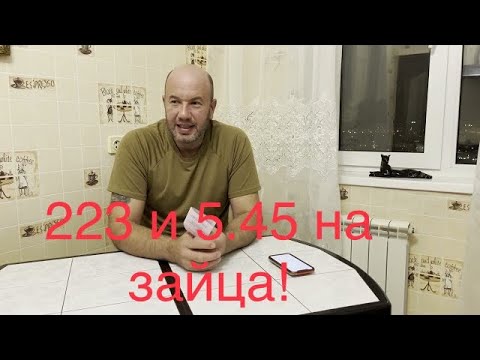 Видео: 5.45, 22lr и 223 рем на зайца, на лису любой калибр!