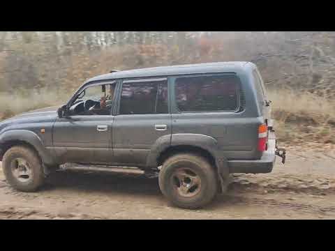 Видео: 27 октября 2025 г.