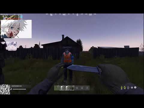 Видео: SKYWHYWALKER ИГРАЕТ В DAYZ