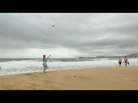 Видео: Шторм в Ливадии. Пляж дикарей