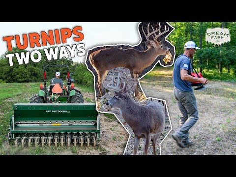 Видео: Два способа посадки репы: с оборудованием или без него | Dream Farm с Биллом Уинке