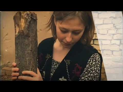 Видео: 95 лет Чингизу Айтматову, СОШЛ №2 им. Н.С. Баранова, с Новопокровка