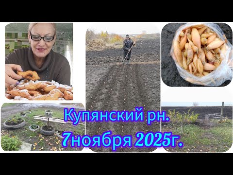 Видео: Ноябрь,а мы на огород/Посадка зимнего лука🧅Убрала клумбы#вергуны#ушки #хворост 