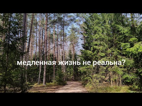 Видео: 21. что не так с медленной жизнью