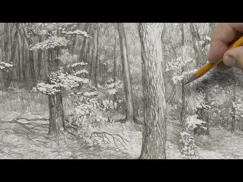 Видео: Рисунок карандашом: "В лесу" | Pencil drawing: "In the forest"