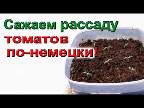 Видео: Сажаем рассаду томатов по-немецки. Ответы на частые вопросы