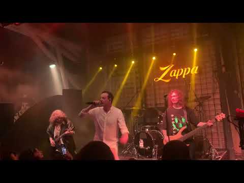 Видео: Animal ДжаZ — Целую (Zappa Baza, Белград, 30.04.2025)
