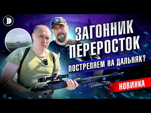 Видео: Обзор и испытания Discovery ED-AR 1-8X24IR от профессионала: что может новый загонник?