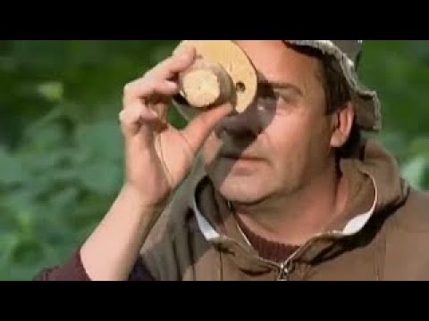 Видео: 6 Кадров | Сезон 1 | Серия 5