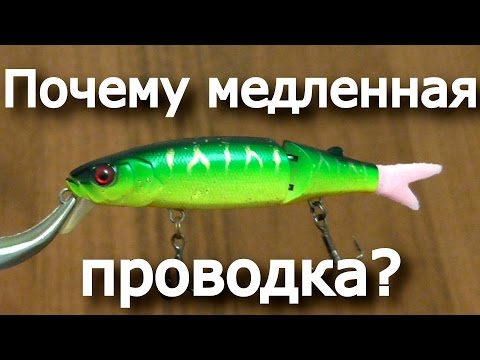 Видео: Проводка Jackall Tiny Magallon