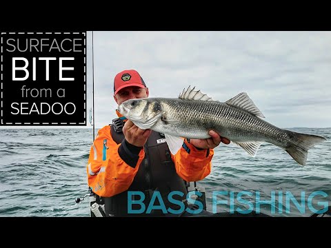 Видео: Ловля окуня на большую октябрьскую поверхность с моего гидроцикла SeaDoo JetSki.