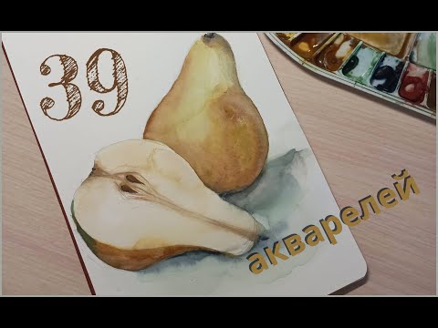 Видео: Обзор скетчбука:2 года с акварелью  #sketchbooktour