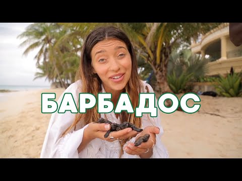 Видео: Что посмотреть в Барбадосе. Гид от Орел и Решка | Америка – Барбадос