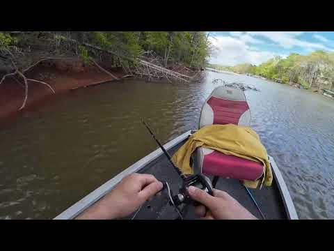 Видео: Рыбалка с лодки на озере в Южной Каролине