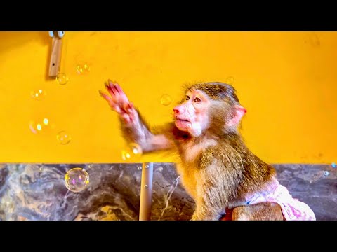 Видео: Денис устроил НАСТОЯЩЕЕ МЫЛЬНОЕ ШОУ! Анфиса с Фиником так забавно ЛОВЯТ ШАРИКИ!