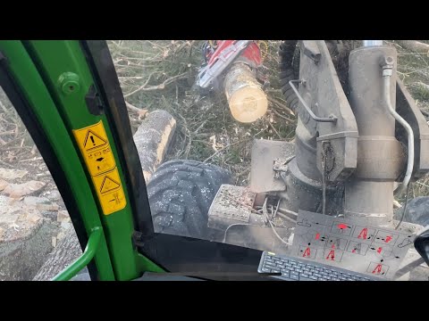 Видео: Делянка пл. в 15гектар закончена,получилось пару футбольных полей