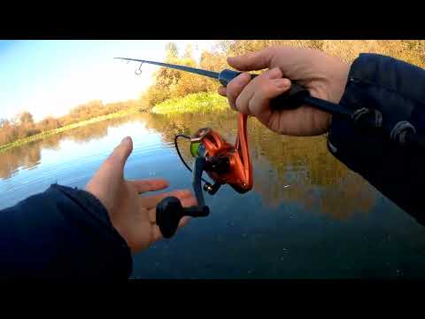 Видео: Столько разной рыбы я ещё не ловил