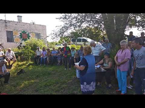 Видео: с. Кулеши, с/о Каштан