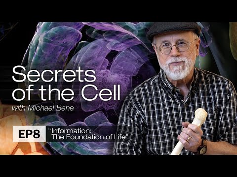 Видео: Майкл Бихи разгадывает тайну биологической информации (Секреты клетки, Эп. 8)