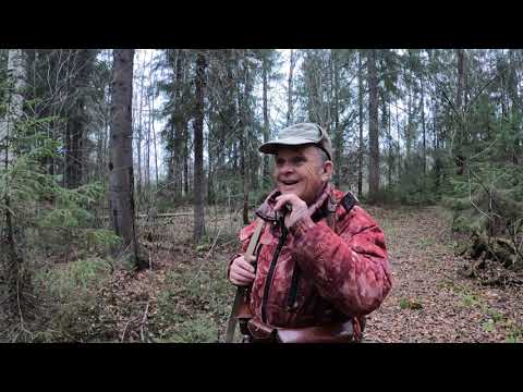 Видео: Охота на рябчика/Прекрасная погода, отличная прогулка по лесу...