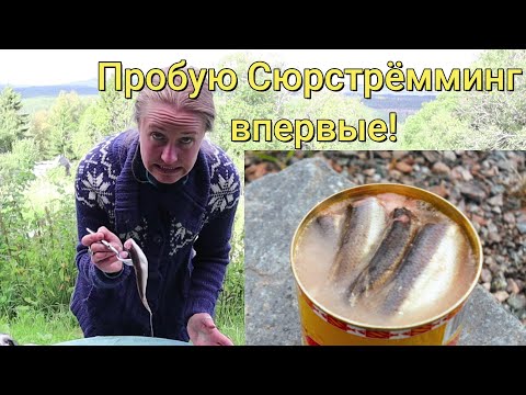 Видео: Пробую Сюрстрёмминг (Surströmming) впервые! Кислая вонючая рыба - шведский деликатес.
