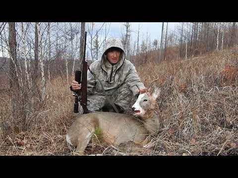 Видео: МУТАНТ! Редко встретишь такого! ОХОТА на КОСУЛЮ с ПОДХОДА