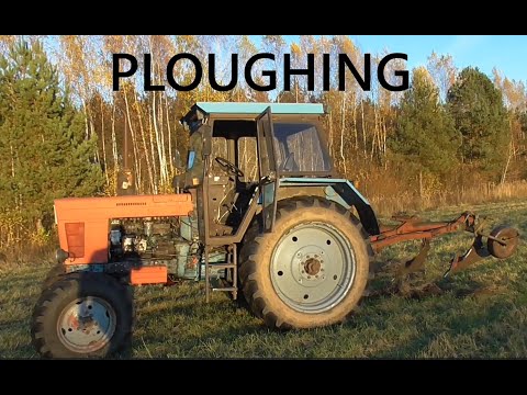 Видео: MTZ 82 не сдаётся! 💪 Orka Kverneland 3x14 | Belarus Traktor w akcji. Sügiskünd 2025 Ploughing 2025