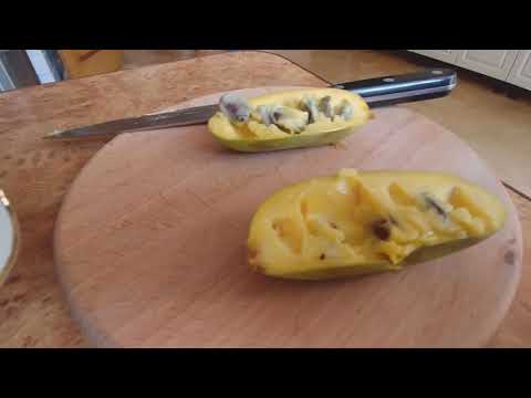 Видео: АЗИМИНА плоды созрели, дегустируем.