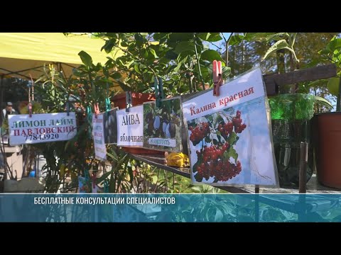 Видео: От лайма до хризантем: ярмарка в ботаническом саду