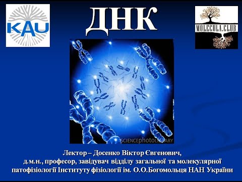 Видео: Генетика 1 частина