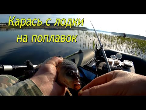 Видео: РЫБАЛКА НА КАРАСЯ С ЛОДКИ.  КРУПНЫЙ КАРАСЬ НА УДОЧКУ.