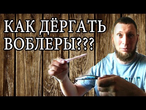 Видео: 🐟Проводка воблеров для чайников/  Как дёргать тот или иной воблер