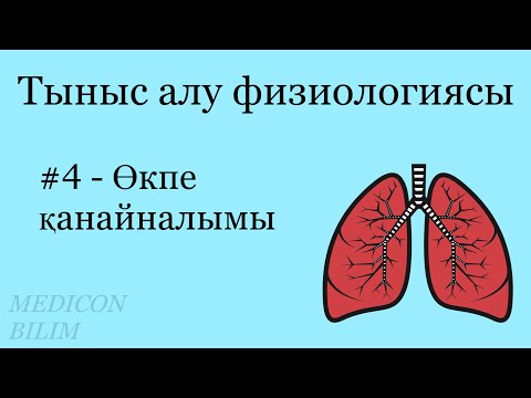 Видео: Өкпе қанайналымы ерекшелігі | Физиология | курсқа тіркелу👇