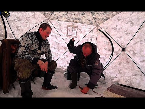 Видео: Зимняя рыбалка на лесном озере. Попали на клёв язя, сороги!