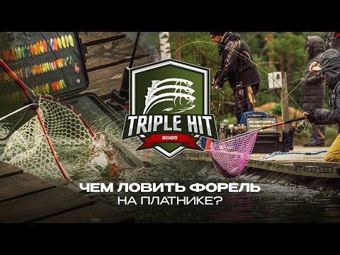 Видео: ЧЕМ ЛОВИТЬ ФОРЕЛЬ на платнике? Старт турнира TRIPLE HIT 2025 от JPSNASTI. Советы новичкам.