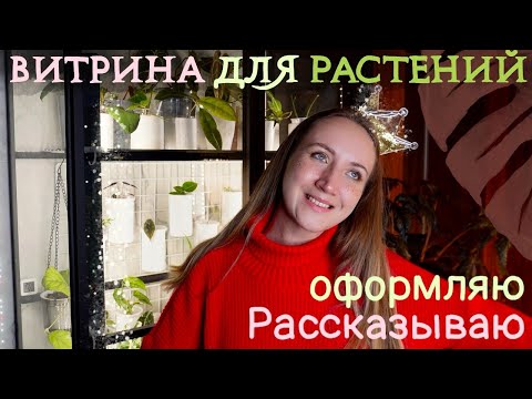 Видео: Моя ВИТРИНА ДЛЯ РАСТЕНИЙ | Рассказываю как сделала и составляю растения